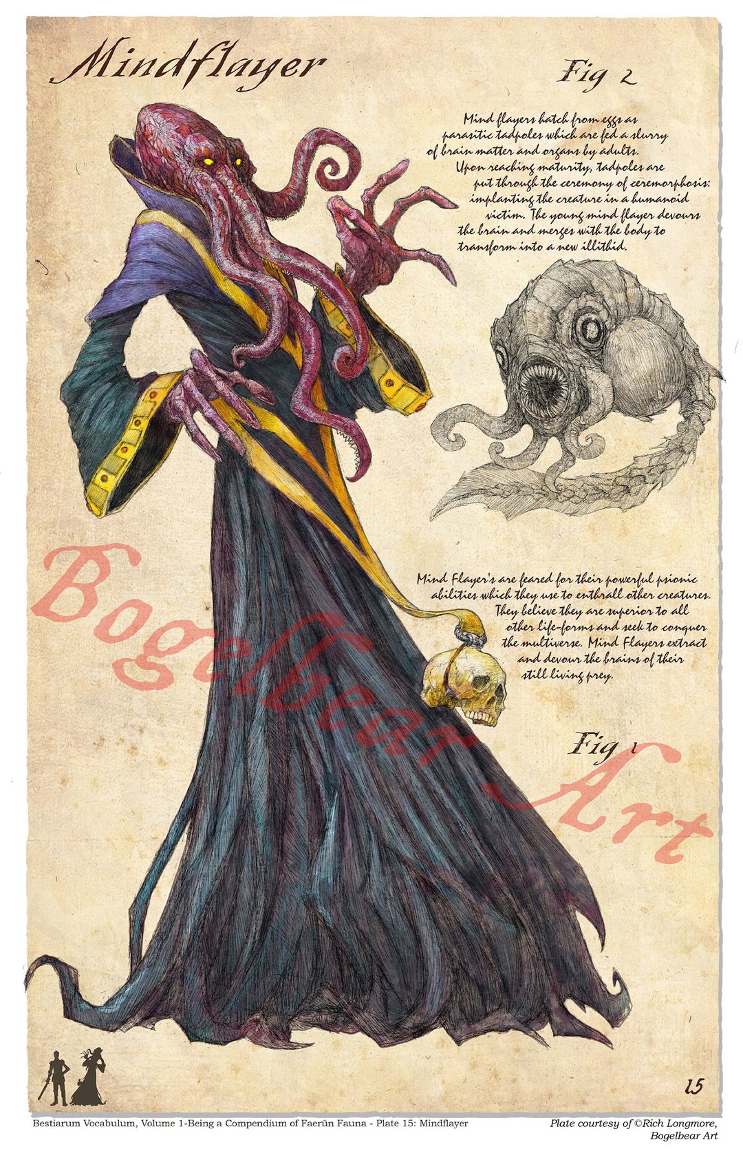 D&D Mindflayer — Bestiarum Vocabulum、第 1 巻 – フェイルーン D&D Mindflayer — Bestiarum Vocabulum、第 1 巻 – フェイルーン