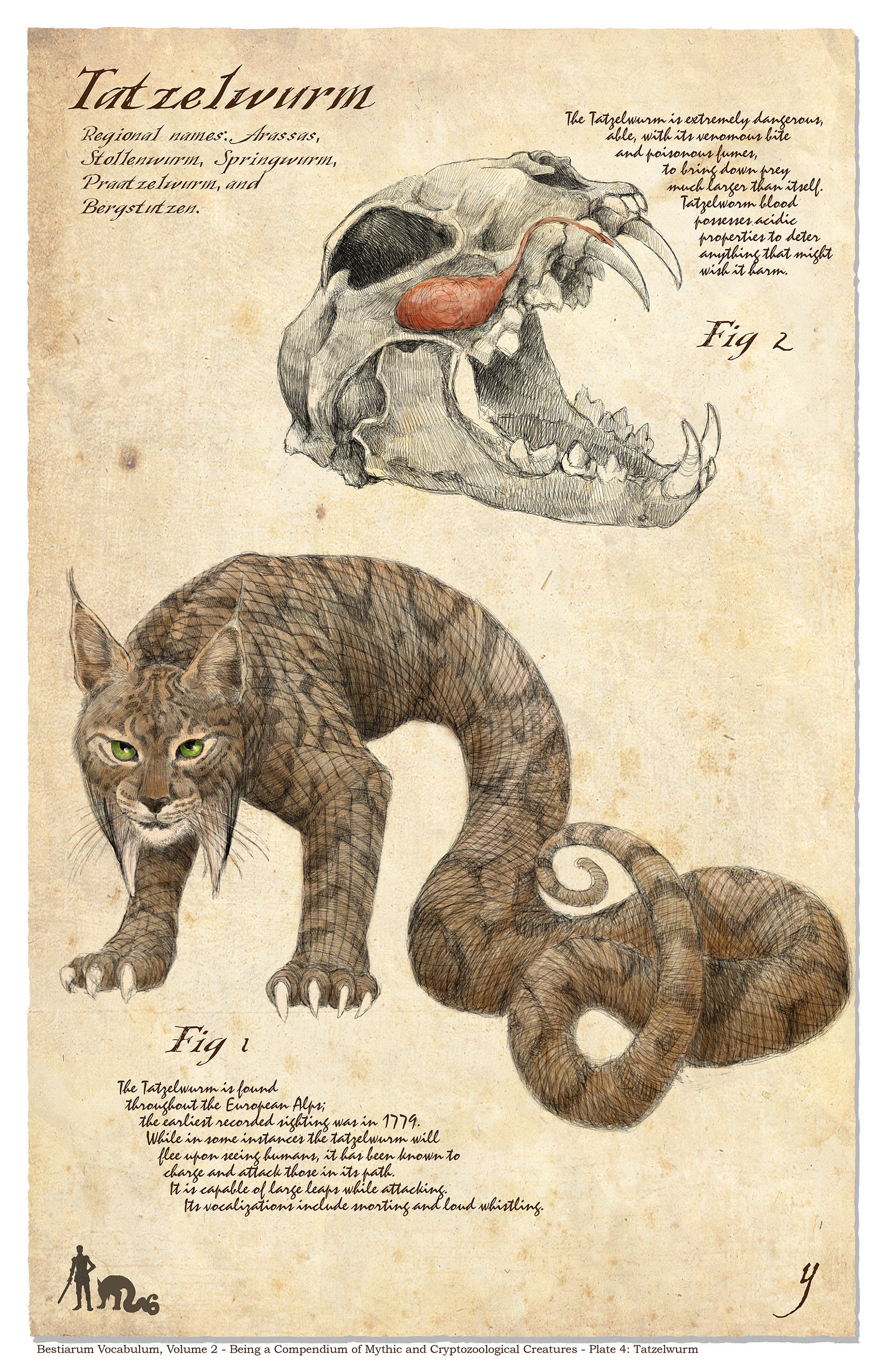 Plate 4: Tatzelwurm - Etsy Hong Kong Plate 4: Tatzelwurm - Etsy Hong Kong