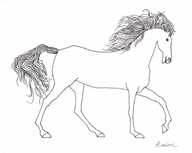 Original horse line drawing 8X10 black ink drawing black line | Etsy
