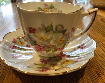 Plate By Victoria for Cartwright and Edwards England Rare and collectible great gift for her Vintage collectible Hand finished Daffodil