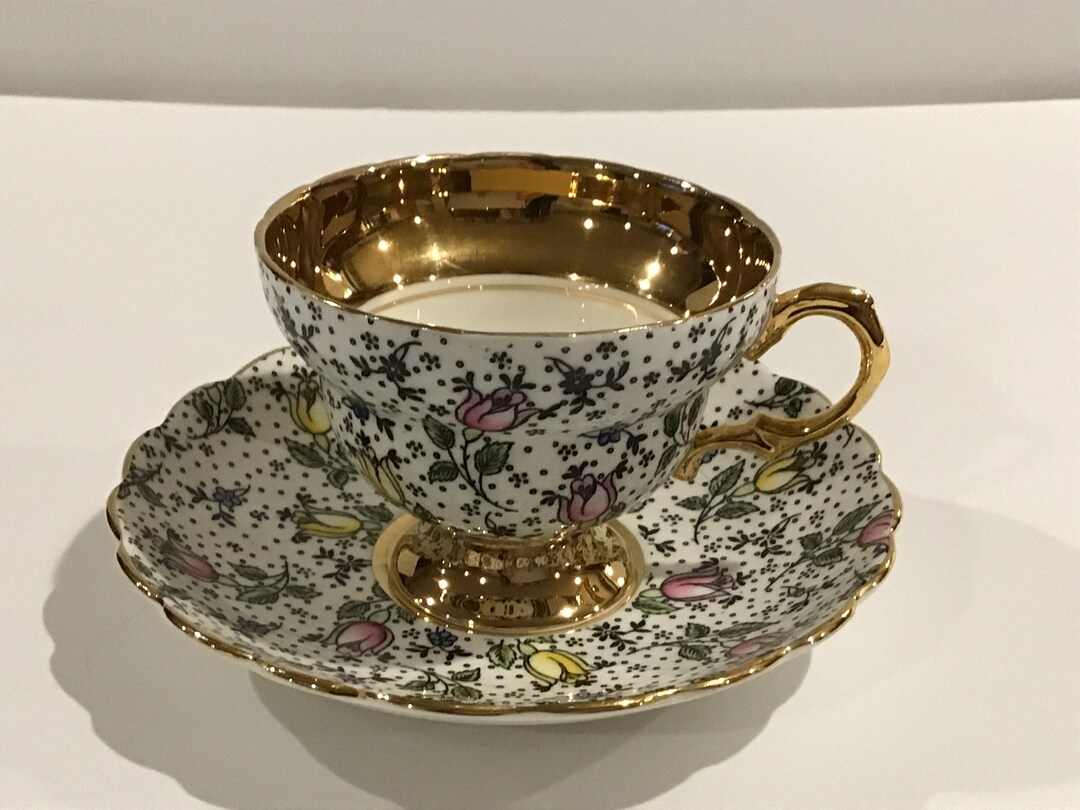 Rosina Bone China Tea Cup and Saucer June 4974 Chintz Etsy