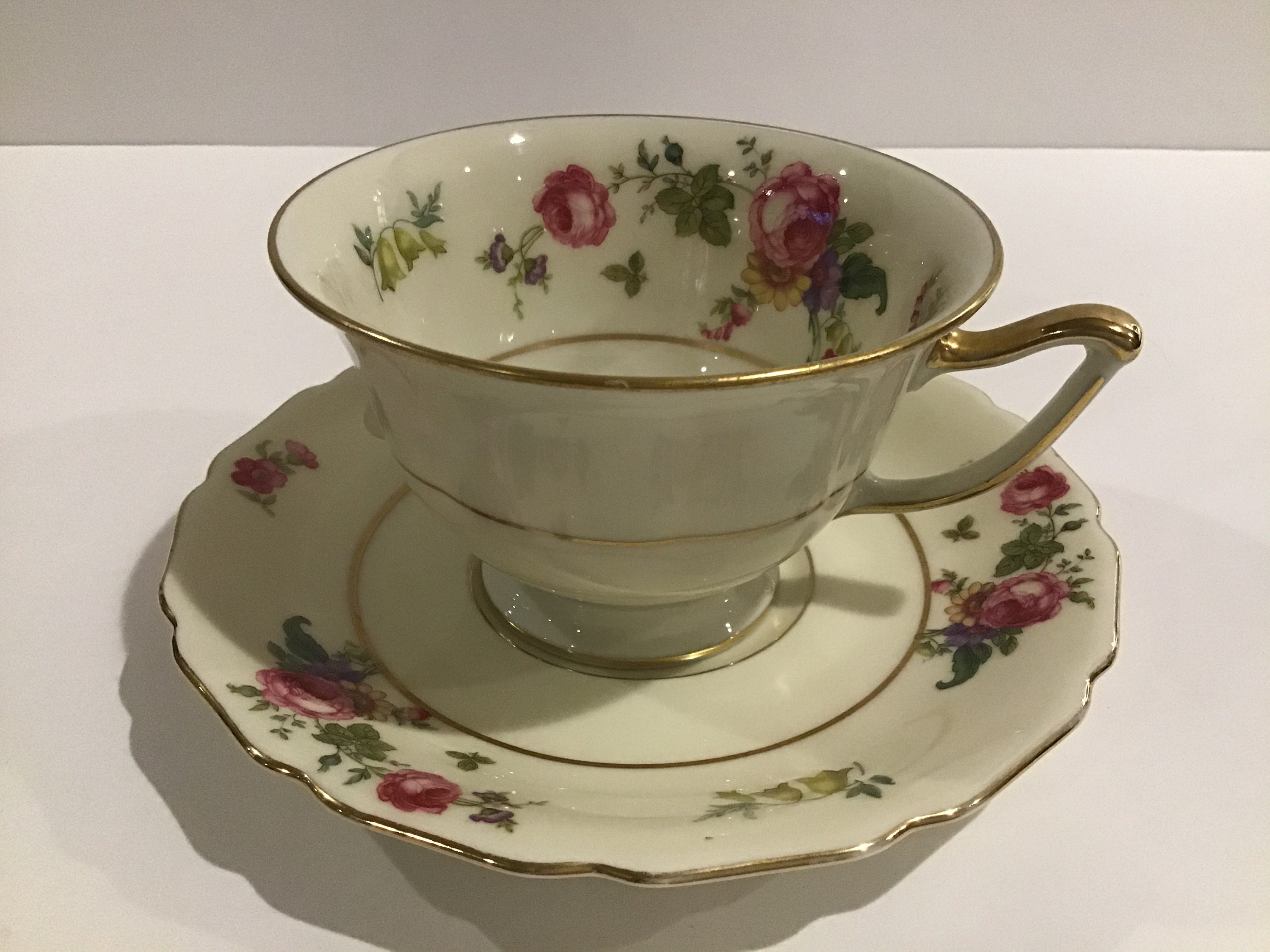 BNIB SOUP CUP SAUCER only 17.5 CM THOMAS CHINA WIDE PLATINUM 798 