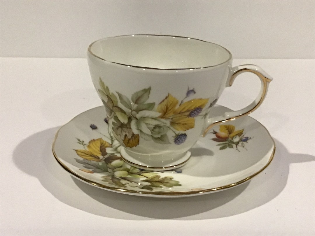 Duchess Bone China Tea Cup and Saucer Autumn Etsy