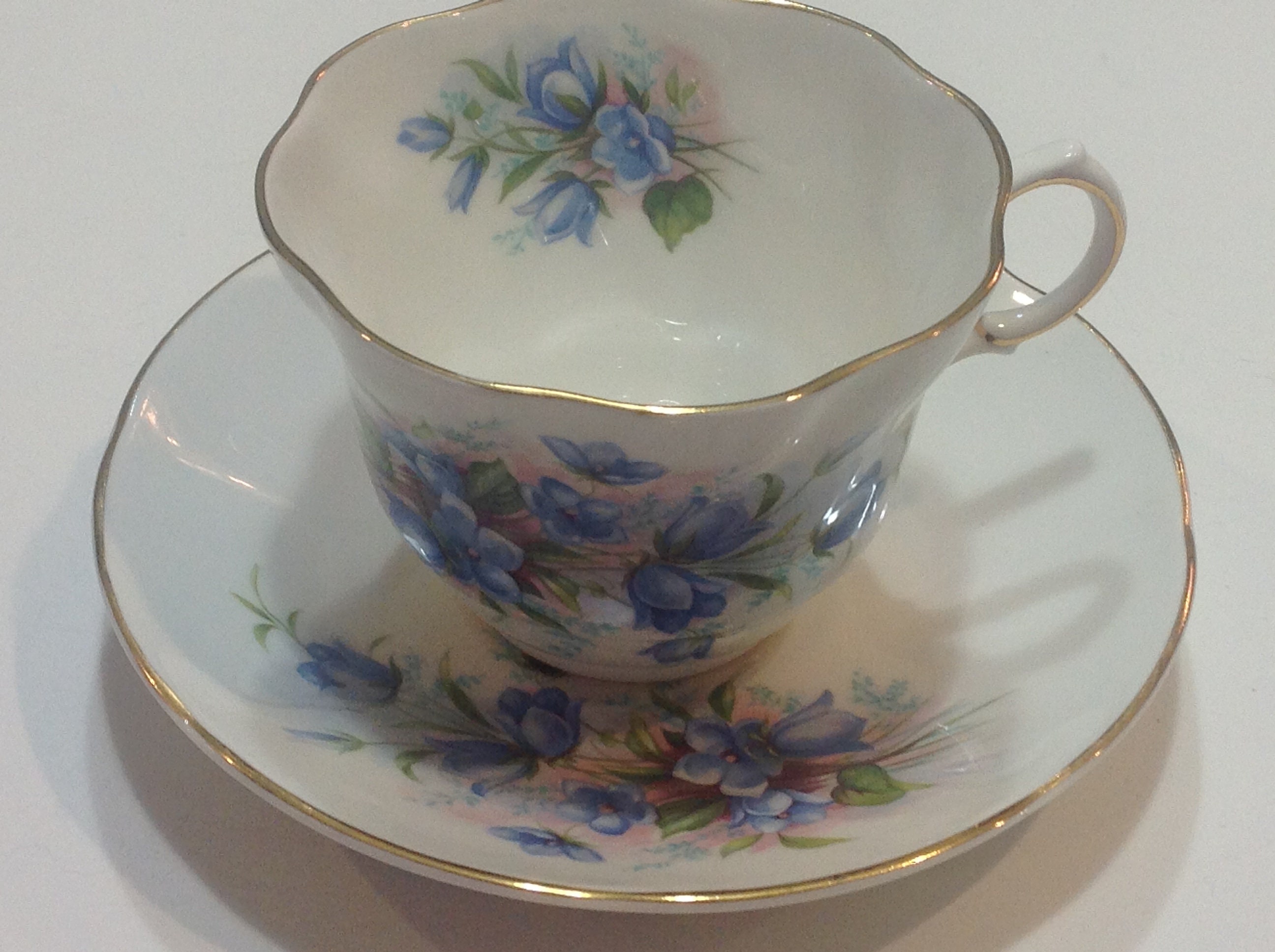 Queens Bone China Tea Cup and Saucer Centenary Dear Pattern Etsy