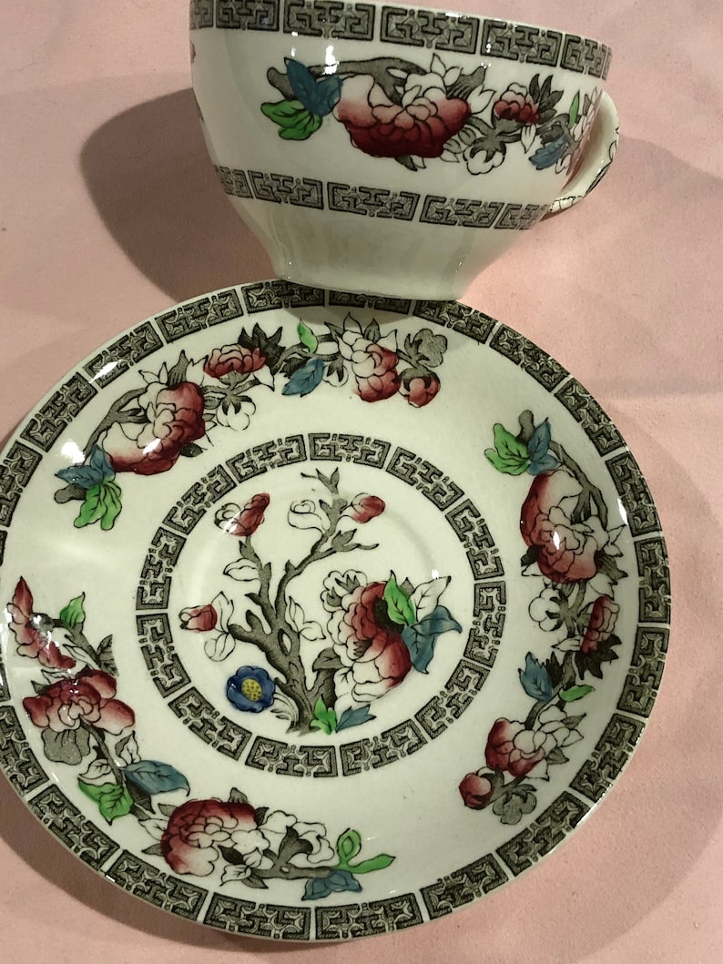 Cup and Saucer Indian Tree Made in England Johnson Brothers