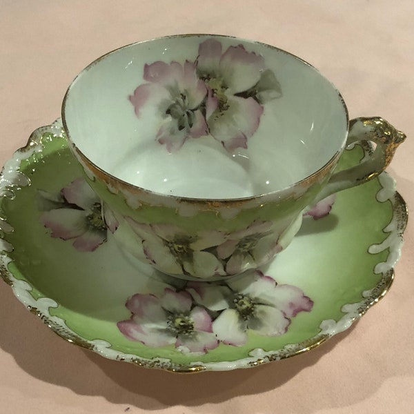 Porcelain Tea Cup and Saucer, Made in Vienna, Imported by Wheelock