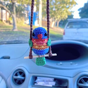 Pu&ograve; includere: Un ornamento a forma di uccellino all'uncinetto con testa blu, becco rosso e petto multicolore in filato giallo, arancione e rosso. L'uccellino ha ali e coda verdi ed &egrave; appoggiato su un piccolo trespolo in legno sospeso da due cordini intrecciati marroni.
