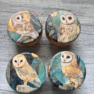 May include: Four round wooden cabinet knobs with owl illustrations. Each knob features a different owl design with a blue, yellow, and brown color palette. The knobs are set against a light gray wooden surface.