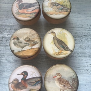 May include: Six round wooden boxes with lids, each featuring a different vintage illustration of ducks in their natural habitat. The illustrations showcase various duck species with detailed plumage and natural backgrounds. The boxes are light brown.