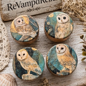 May include: Four round wooden knobs featuring detailed illustrations of barn owls. Each knob displays a unique owl perched on a branch against a dark teal and gold background. The circular tops are smooth with a printed finish, showcasing brown and white feathers.