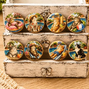 May include: A collection of eight round cat-themed decorative magnets. Each magnet features a different cat enjoying leisure activities by a pool, such as sunbathing, wearing a hat, or floating on a pink inflatable. The magnets are displayed in a distressed white wooden box.
