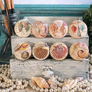 Seashell Cabinet Knobs – Coastal Drawer Pulls – Beach House Dresser Knobs – Nautical Shell Cabinet Hardware – Coastal Home Decor