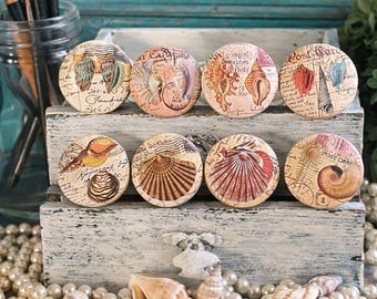 Seashell Cabinet Knobs – Coastal Drawer Pulls – Beach House Dresser Knobs – Nautical Shell Cabinet Hardware – Coastal Home Decor