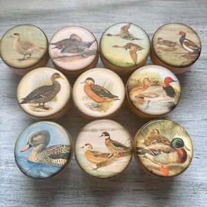 May include: A collection of ten wooden knobs with various duck illustrations. Each knob features a different duck species in a natural setting, with detailed artwork and a light wood finish. The knobs are round and appear to be approximately 1.5 inches in diameter.