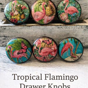 May include: Six round drawer knobs with tropical flamingo designs. Each knob features a different flamingo illustration with elements like pineapples, butterflies, and flowers. The knobs are set against a white background, with the text "Tropical Flamingo Drawer Knobs" below.