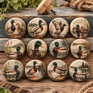 May include: A set of twelve round wooden cabinet knobs featuring various printed illustrations of mallard ducks in natural wetland settings. Each knob has a smooth, light-colored wood finish and a metal screw attached to the back for installation.