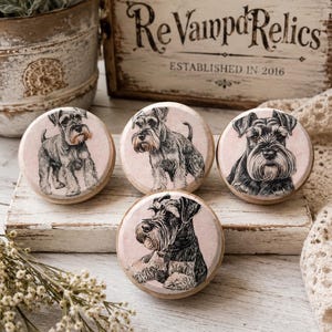May include: Four round wooden knobs featuring detailed black and white illustrations of Schnauzer dogs on a pale pink background. Each knob displays a different pose or portrait of the dog breed, showcasing textured fur and distinct facial features.