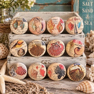 May include: A set of twelve circular drawer knobs featuring vintage-style illustrations of various seashells, coral, and postage stamp motifs on a beige background, arranged in three rows within a distressed white wooden storage organizer.