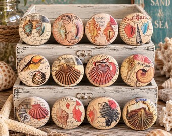 Handcrafted Seashell Cabinet Knobs – Coastal Beach House Drawer Pulls