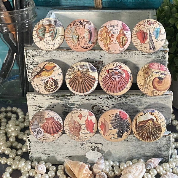 Beach Drawer Pulls Etsy
