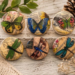 May include: Six round decorative magnets with butterfly and dragonfly designs. The magnets feature vintage paper backgrounds with musical notes and text. The butterflies and dragonflies are in various colors, including green, blue, and pink.