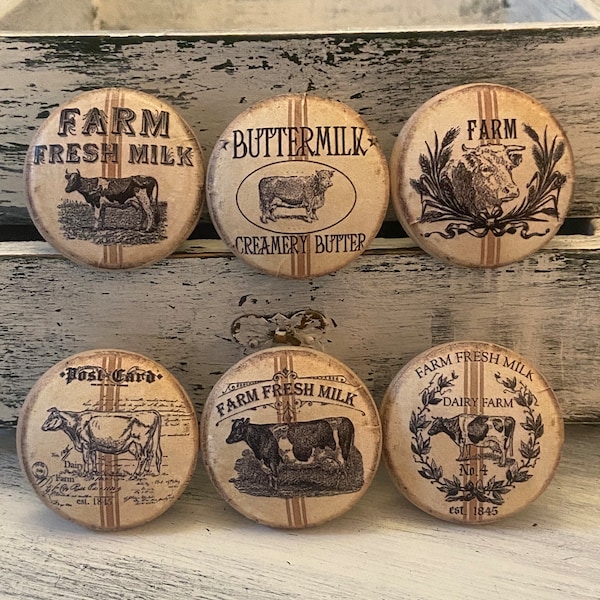 Cow Knobs Etsy