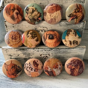 May include: A set of 11 round, ceramic cabinet knobs featuring various dog breeds. The knobs are painted with realistic images of dogs, including a Bloodhound, a Beagle, a Golden Retriever, a Dachshund, a Bulldog, a Labrador Retriever, a German Shepherd, a Poodle, a Yorkshire Terrier, a Boxer, and a Jack Russell Terrier.