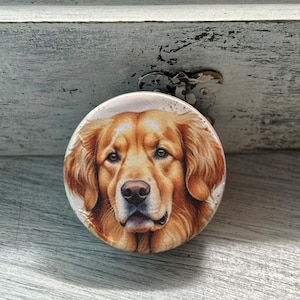 May include: Close-up of a golden retriever dog's face. The dog has brown eyes and a light brown nose. The image is printed on a round, white button.