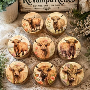 May include: Eight round wooden knobs featuring printed illustrations of Highland cattle. Each knob displays a brown, shaggy cow with long horns, some surrounded by colorful floral accents. The designs are set against a cream-colored background.