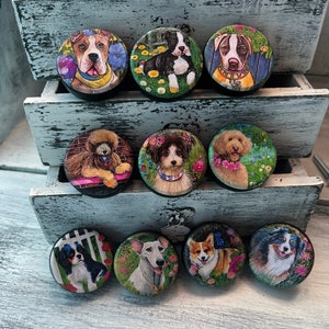 May include: Nine colorful round cabinet knobs with images of different dog breeds. Each knob features a dog breed in a floral setting. The knobs are arranged in three rows on a wooden surface.