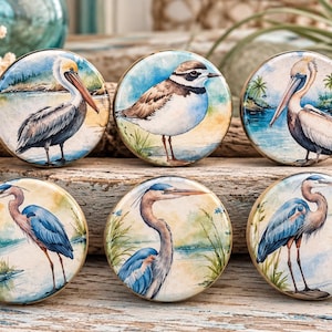 May include: A set of six round cabinet knobs featuring watercolor-style illustrations of coastal birds. The top row displays a pelican, a plover, and another pelican. The bottom row features three blue herons in various poses near water.