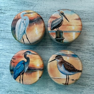 May include: Four round coasters with a sunset background and different birds. The coasters feature a white egret, a brown pelican, a blue heron, and a brown and white sandpiper.