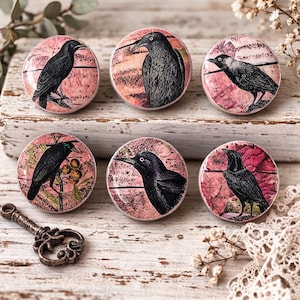 Handmade Raven Crow Black Bird Cabinet Knobs