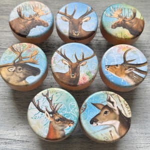 May include: A collection of seven wooden cabinet knobs. Each knob features a different deer illustration on a light blue background with floral and script accents. The deer are depicted in various poses and colors.