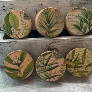 May include: Six round wooden knobs with a vintage botanical print featuring green leaves and white flowers. The knobs have a light brown background with white text and a distressed look.