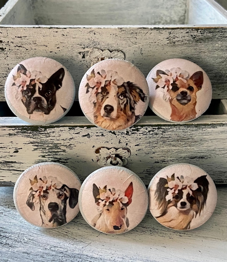 Whimsical DOGS Knobs Drawer Pulls Set of 6 Shabby Etsy