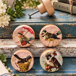 May include: Four round wooden knobs featuring printed illustrations of birds. One bird holds a red umbrella, one wears glasses, one sits in a floral teacup, and one wears a chef hat. Each knob has a light wood finish and a metal screw attachment.