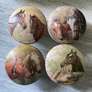 May include: Set of four round wooden cabinet knobs with a floral background and images of horses. The horses are brown, black, and white and are wearing bridles.
