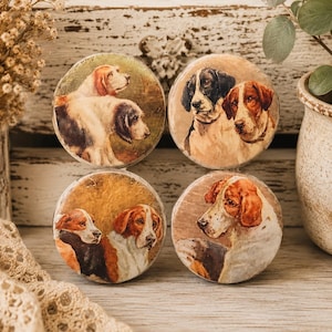 May include: Four round decorative magnets featuring vintage-style dog portraits. Each magnet showcases a different pair or group of dogs in various poses, with a warm, aged aesthetic. The dogs have brown, black, and white fur.