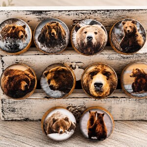 May include: A collection of ten circular wooden knobs, each featuring a detailed photographic print of a brown bear in various poses and settings, including close-up portraits and full-body images of bears in natural environments.