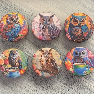 May include: Six round owl-themed decorative magnets. Each magnet features a different owl illustration with vibrant colors, surrounded by floral and botanical elements. Some designs include a teacup.