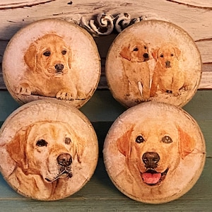 Yellow Lab Dog Cabinet Knobs or Drawer Pulls Handmade Set of 4 - Labrador Retriever