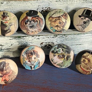 May include: Eight round wooden knobs with images of dogs wearing hats and accessories. The knobs are painted in a vintage style and feature various breeds of dogs, including a terrier, a pug, and a dachshund.