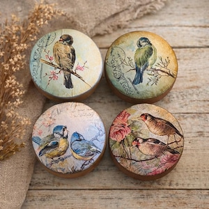 Hand-Painted Bird Cabinet Knobs – Rustic Floral Drawer Pulls, Cottagecore Farmhouse Hardware