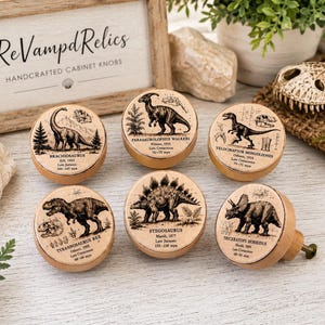 May include: Six round wooden cabinet knobs featuring black ink illustrations of dinosaurs including a Brachiosaurus, Parasaurolophus, Velociraptor, Tyrannosaurus Rex, Stegosaurus, and Triceratops, each labeled with its scientific name and era.