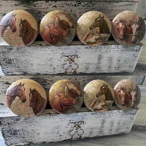 HORSES Knobs Drawer Pulls Rustic Farmhouse Western Ranch Set of 8