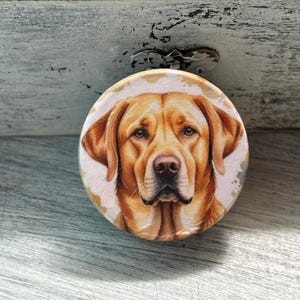May include: A close-up of a golden retriever dog's face. The dog has brown eyes and a light brown nose. The image is on a white background with brown and white watercolor splatters.