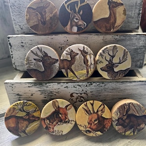 May include: A collection of ten round wooden cabinet knobs. Each knob features a vintage-style illustration of a deer or stag in various poses and settings. The knobs are displayed in a white wooden box.