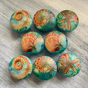 May include: Set of eight round cabinet knobs with a coastal theme. Each knob features a different seashell design, including starfish and nautilus shells, in shades of orange, teal, and cream. The knobs have a teal blue base.
