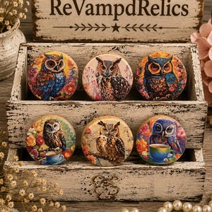 May include: A set of six circular wooden discs featuring colorful owl illustrations and floral patterns, displayed in a two-tiered, distressed white wooden storage box with the text ReVampdRelics printed on the top back panel.
